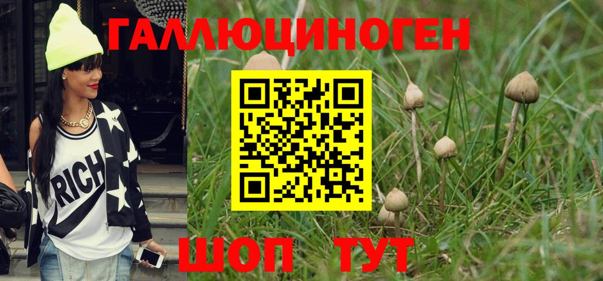 Псилоцибиновые грибы GOLDEN TEACHER Карасук