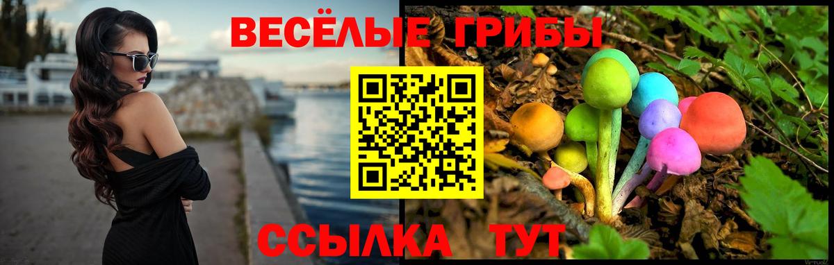 Галлюциногенные грибы мухоморы  Галлюциногенные грибы мицелий  Карасук  Вход с VPN 